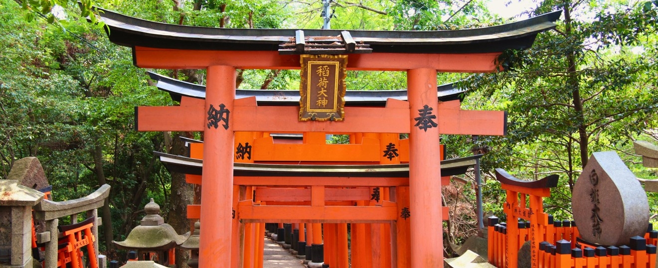 Linhagens de Reiki: O Reiki é Um Só, a Forma de Ensinar é Que Divide