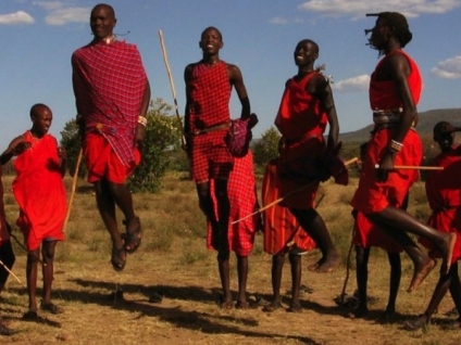 A Distinção Hierárquica e Ritual: Diloggun (Ocha) vs. Ifá