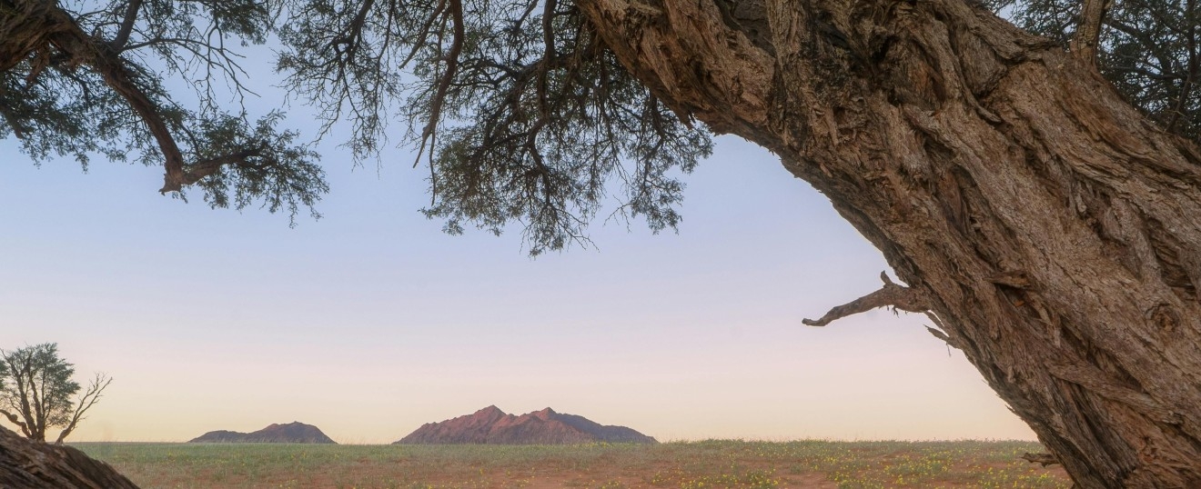 Abiku: Nascido para Morrer - O Conceito e os Rituais de Proteção Iorubá