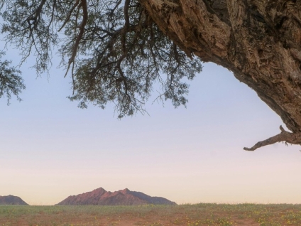 Abiku: Nascido para Morrer - O Conceito e os Rituais de Proteção Iorubá